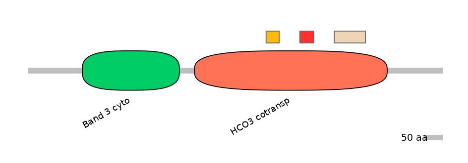 HsaEX6016231-INC