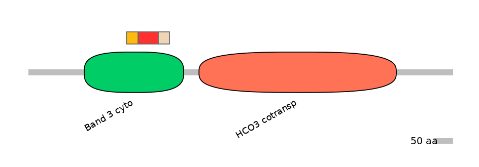 HsaEX6016237-INC