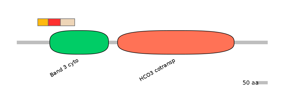 HsaEX6016238-INC