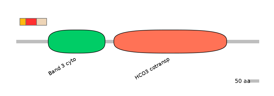 HsaEX6016240-INC