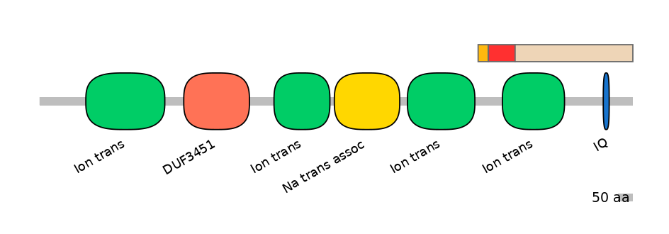 HsaEX6016350-INC