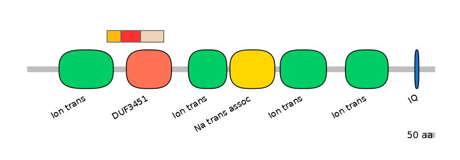 HsaEX6016360-INC