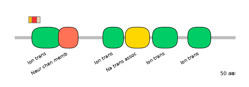 HsaEX6016397-INC