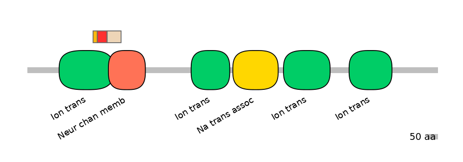 HsaEX6016400-INC
