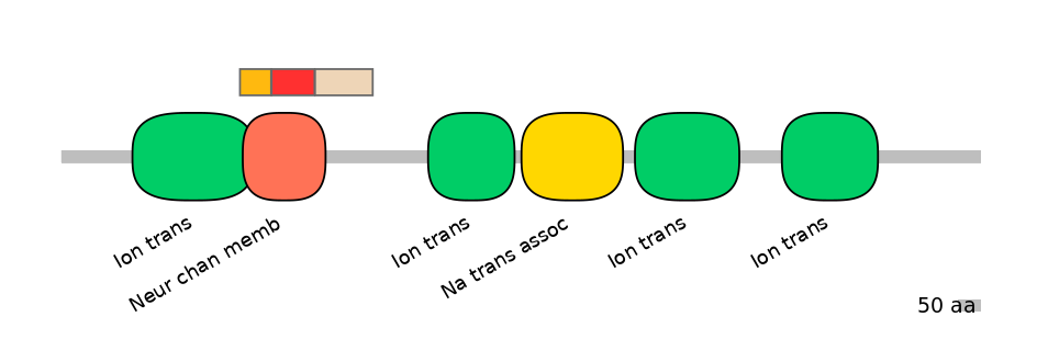 HsaEX6016402-INC