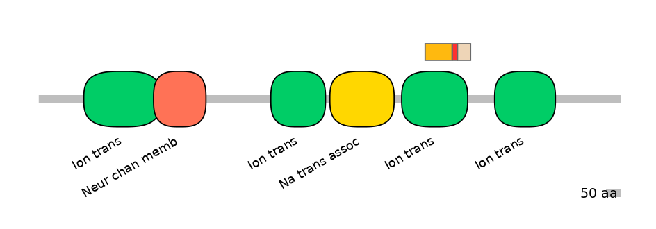 HsaEX6016412-INC