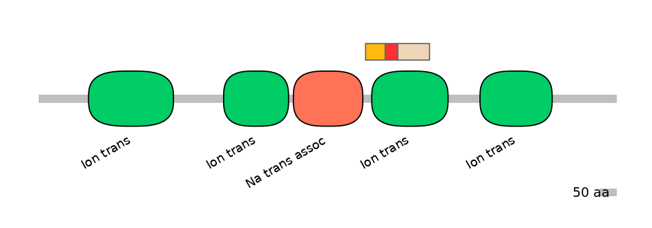 HsaEX6016440-INC