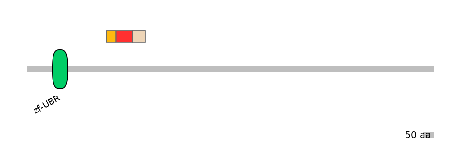 HsaEX6016637-INC