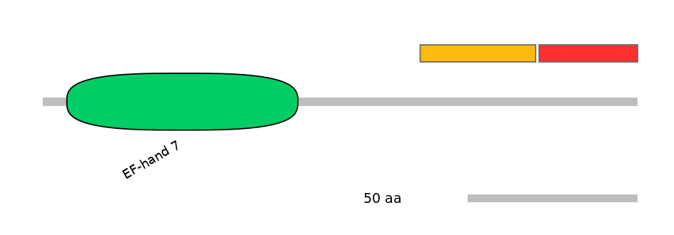 HsaEX6016709-INC