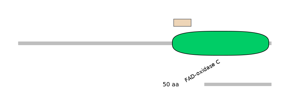 HsaEX6016843-EXC
