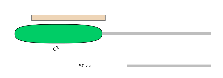 HsaEX6019759-EXC