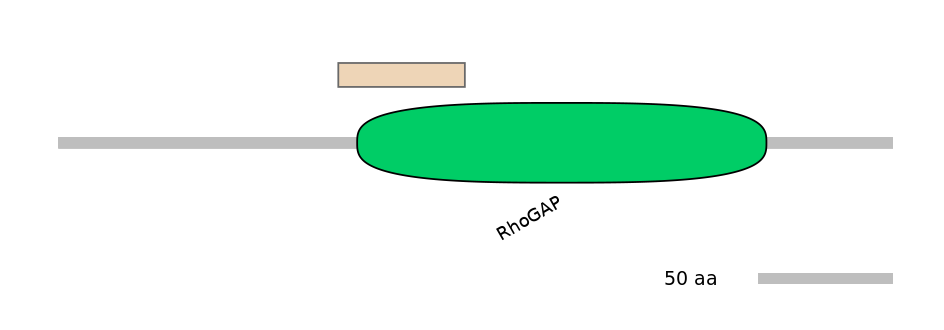HsaEX6019762-EXC