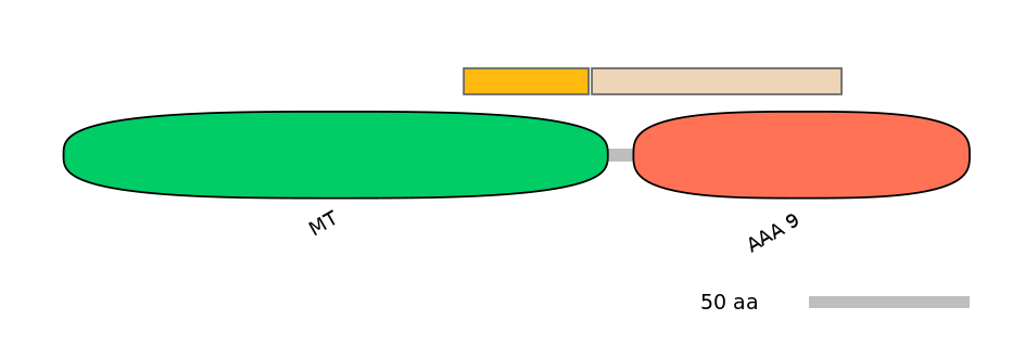 HsaEX6021127-EXC