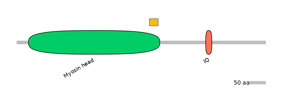 HsaEX6022143-EXC