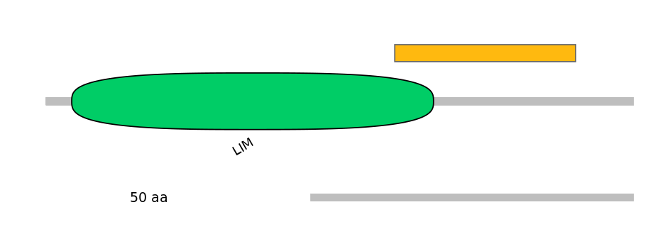 HsaEX6022305-EXC