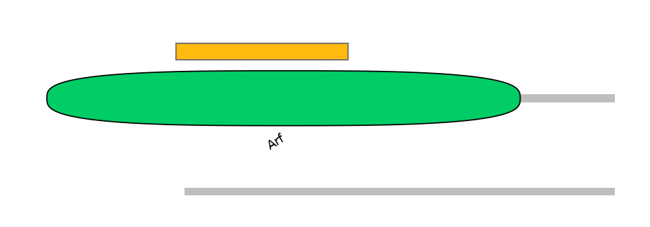 HsaEX6022323-EXC
