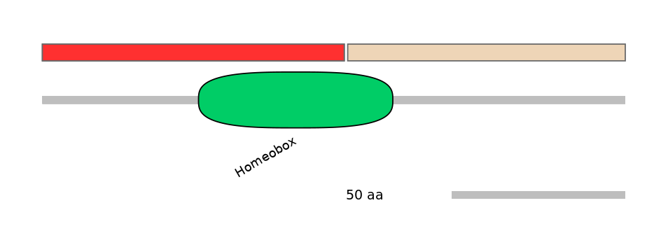 HsaEX6023444-INC