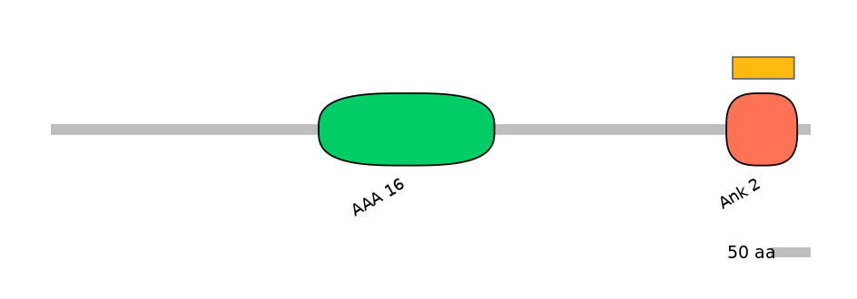 HsaEX6024051-EXC
