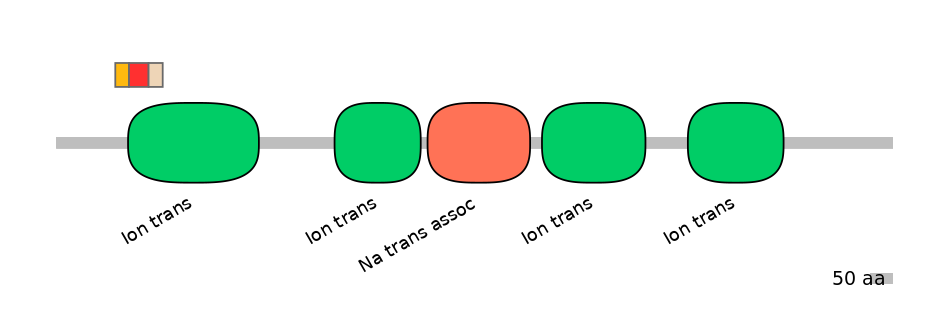 HsaEX6024179-INC