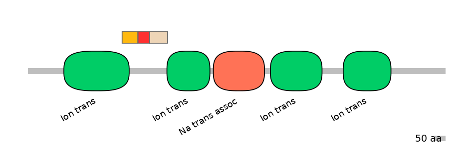 HsaEX6024185-INC