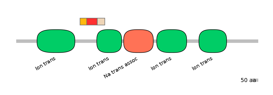 HsaEX6024186-INC