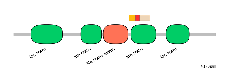 HsaEX6024191-INC