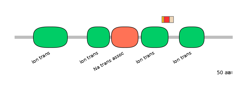 HsaEX6024194-INC