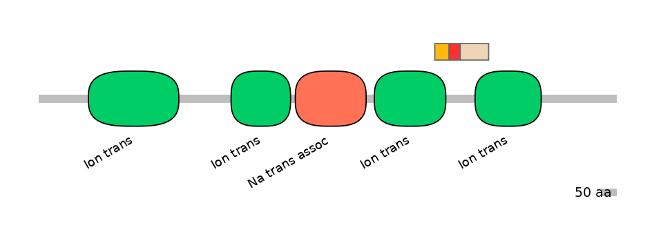 HsaEX6024195-INC