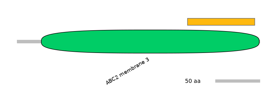HsaEX6024391-EXC