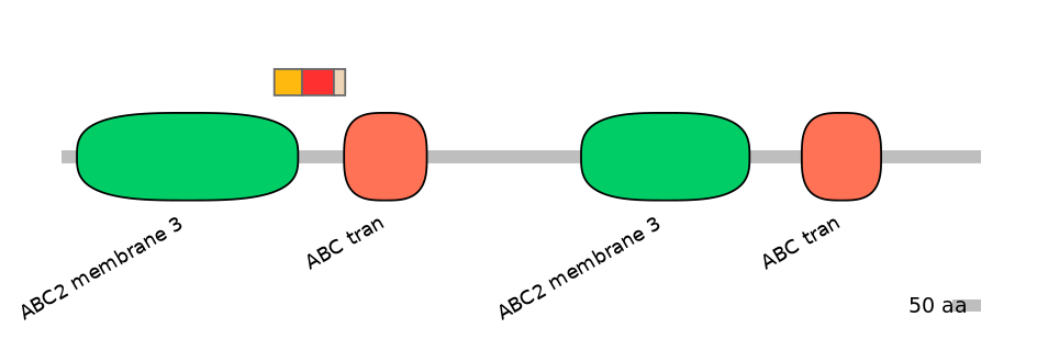 HsaEX6024394-INC