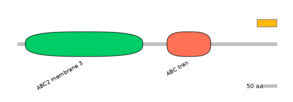 HsaEX6024426-EXC