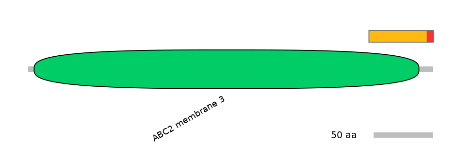 HsaEX6024472-INC