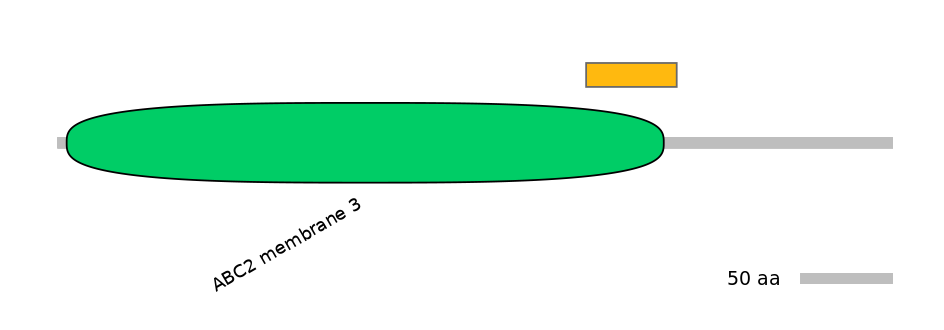 HsaEX6024476-EXC