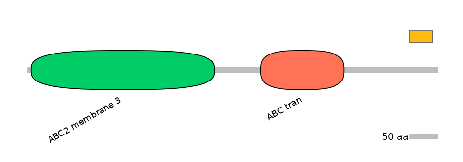 HsaEX6024478-EXC