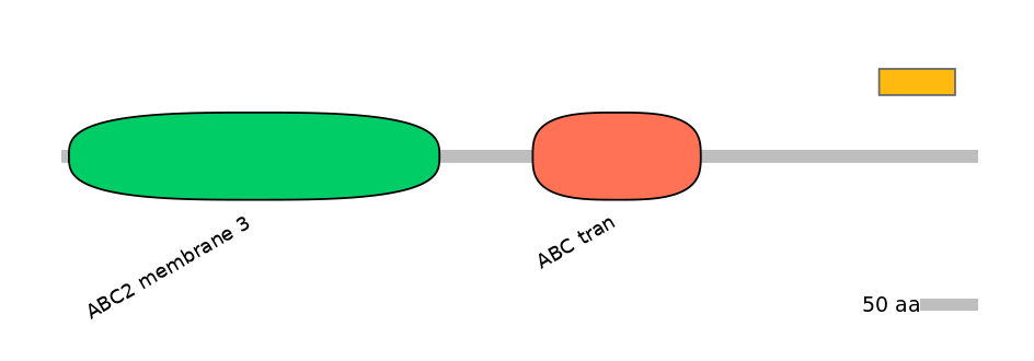 HsaEX6024479-EXC