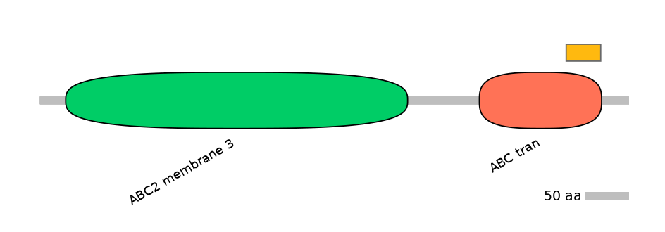 HsaEX6024495-EXC