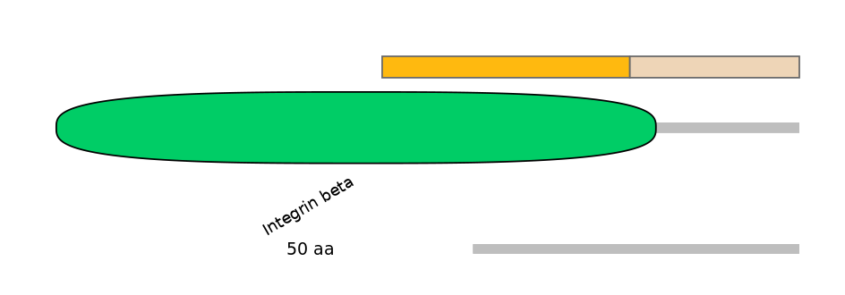 HsaEX6024824-EXC