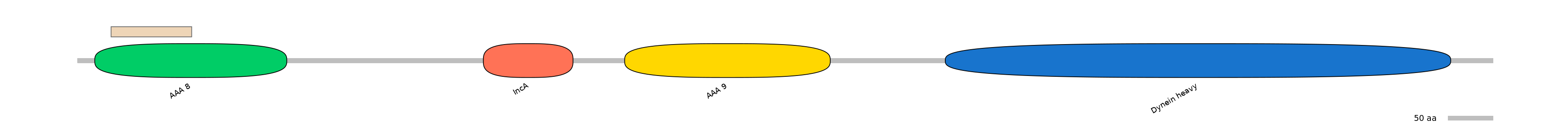 HsaEX6025155-EXC
