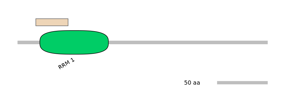 HsaEX6030217-EXC