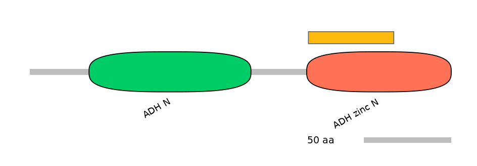 HsaEX6031625-EXC