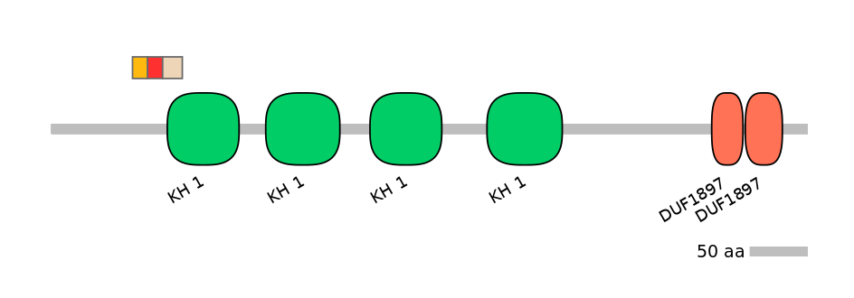 HsaEX6031729-INC