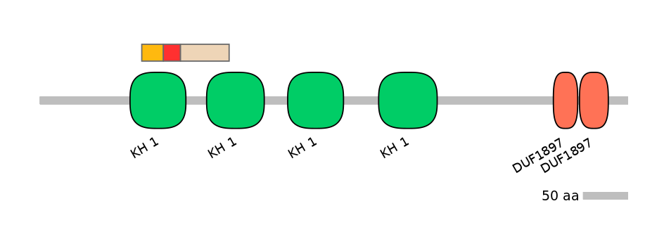 HsaEX6031732-INC