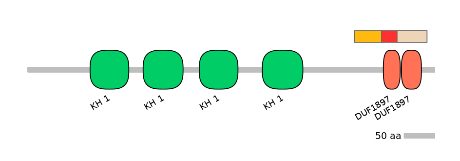 HsaEX6031742-INC