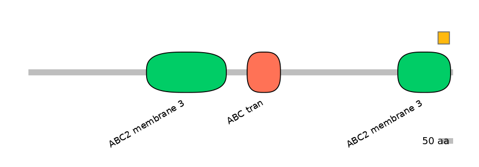 HsaEX6032216-EXC