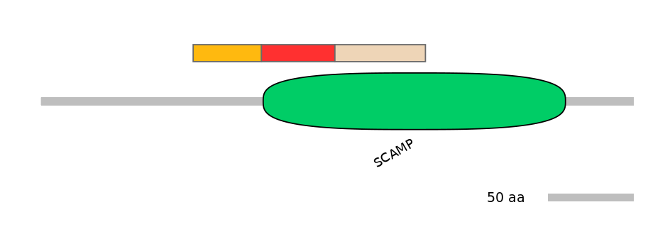 HsaEX6033870-INC
