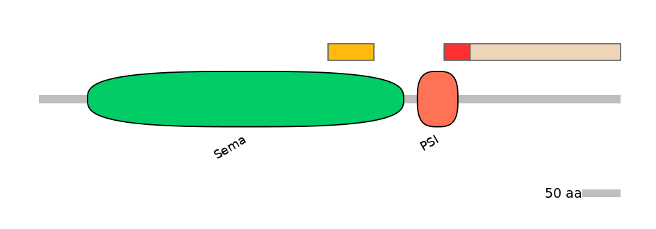 HsaEX6033962-INC