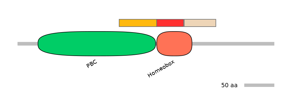 HsaEX6034601-INC
