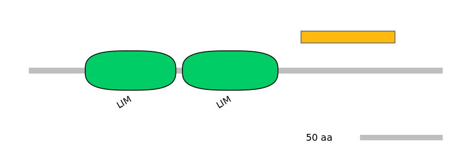 HsaEX6034611-EXC