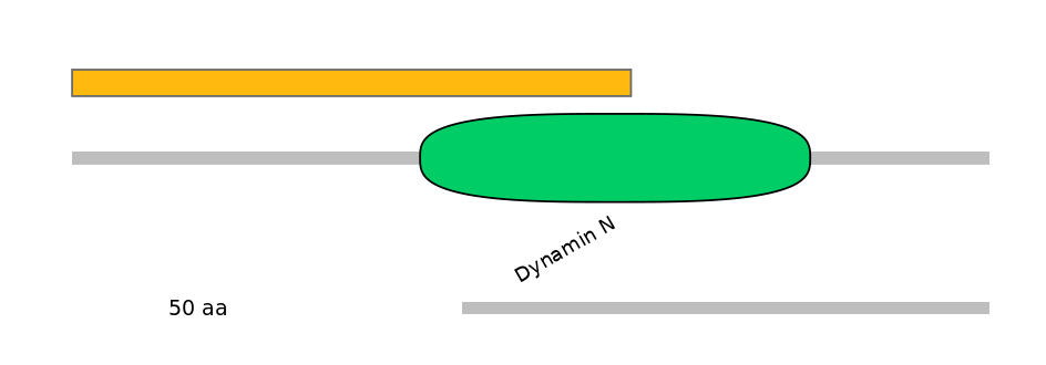 HsaEX6034930-EXC
