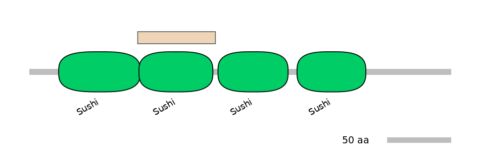 HsaEX6035732-EXC